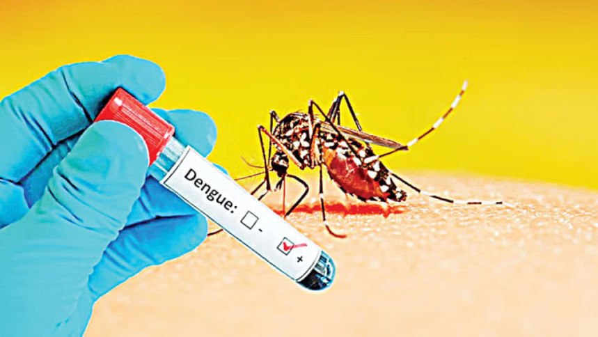 Dengue Cases Rise In Chattogram