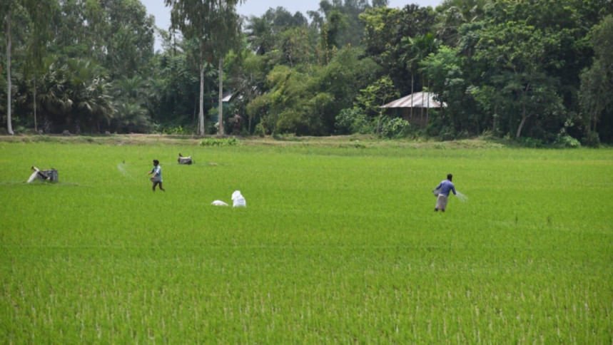 Climate change demands better forecasts for farmers