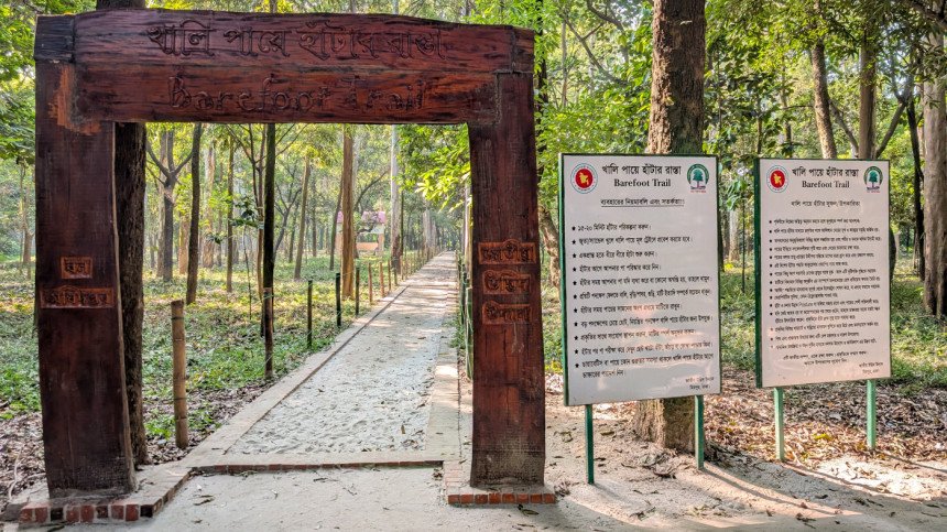Inside National Botanical Garden’s new barefoot trail